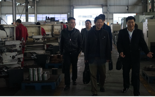 區(qū)委組織部仰部長及各級(jí)領(lǐng)導(dǎo)蒞臨我司指導(dǎo)工作