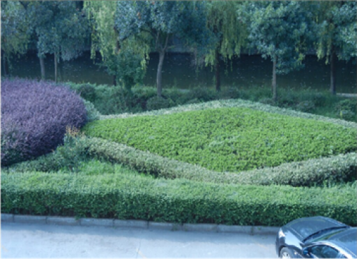 “美化公司、去除雜草、清理死角”——記黨員月主題活動