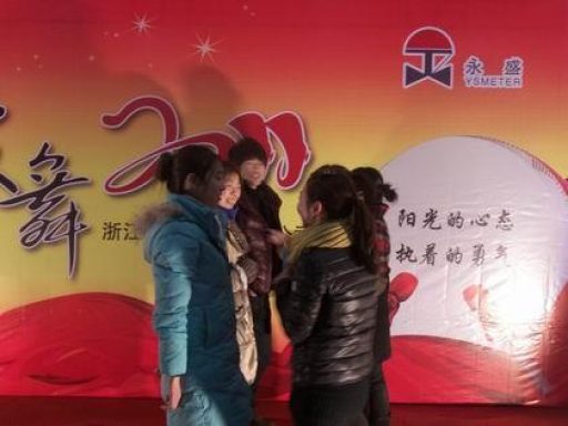 2011年度浙江永盛儀表有限公司聯(lián)歡晚會